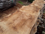 HARDWOOD TIMBER AIR DRIED SAWN WANEY EDGE / LIVE EDGE ENGLISH PIPPY OAK SLAB / BOARD
