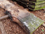 HARDWOOD TIMBER AIR DRIED SAWN WANEY EDGE / LIVE EDGE PIPPY OAK SLAB / BOARD