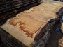 HARDWOOD SAWN WANEY EDGE / LIVE EDGE TIMBER BURR / PIPPY ENGLISH OAK SLAB / TABLE TOP