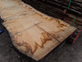 HARDWOOD AIR DRIED WANEY EDGE / LIVE EDGE TIMBER BURR / PIPPY ENGLISH OAK SLAB / TABLE TOP