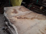 HARDWOOD AIR DRIED WANEY EDGE / LIVE EDGE TIMBER BURR / PIPPY ENGLISH OAK SLAB / TABLE TOP