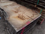 HARDWOOD AIR DRIED WANEY EDGE / LIVE EDGE TIMBER BURR / PIPPY ENGLISH OAK SLAB / TABLE TOP