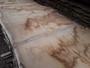 HARDWOOD SAWN AIR DRIED WANEY EDGE / LIVE EDGE TIMBER BURR / PIPPY ENGLISH OAK SLAB / TABLE TOP