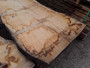 HARDWOOD SAWN AIR DRIED WANEY EDGE / LIVE EDGE TIMBER BURR / PIPPY ENGLISH OAK SLAB / TABLE TOP