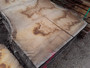 HARDWOOD SAWN AIR DRIED WANEY EDGE / LIVE EDGE TIMBER BURR / PIPPY ENGLISH OAK SLAB / TABLE TOP
