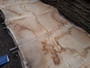 HARDWOOD SAWN DRIED WANEY EDGE / LIVE EDGE TIMBER BURR / PIPPY ENGLISH OAK SLAB / TABLE TOP