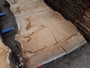 HARDWOOD SAWN TIMBER DRIED WANEY EDGE / LIVE EDGE BURR / PIPPY ENGLISH OAK SLAB / TABLE TOP