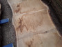 HARDWOOD SAWN TIMBER DRIED WANEY EDGE / LIVE EDGE BURR / PIPPY ENGLISH OAK SLAB / TABLE TOP