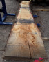HARDWOOD WANEY EDGE / LIVE EDGE AIR DRIED TIMBER BROWN ENGLISH PIPPY OAK SLAB / TABLE TOP