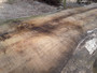 HARDWOOD AIR DRIED SAWN WANEY EDGE / LIVE EDGE TIMBER ENGLISH CHESTNUT SLAB / TABLE TOP