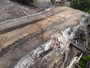 HARDWOOD AIR DRIED SAWN WANEY EDGE / LIVE EDGE TIMBER ENGLISH CHESTNUT SLAB / TABLE TOP