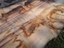 HARDWOOD SAWN DRIED TIMBER WANEY EDGE / LIVE EDGE ENGLISH CHESTNUT SLAB / TABLE TOP