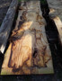 HARDWOOD SAWN DRIED WANEY EDGE / LIVE EDGE ENGLISH CHESTNUT SLAB / TABLE TOP