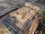 HARDWOOD AIR DRIED TIMBER SAWN WANEY EDGE / LIVE EDGE ENGLISH CHESTNUT SLAB / TABLE TOP