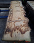 HARDWOOD AIR DRIED SAWN TIMBER WANEY EDGE / LIVE EDGE ENGLISH BURR OAK SLAB / TABLE TOP