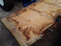 HARDWOOD AIR DRIED TIMBER SAWN WANEY EDGE / LIVE EDGE ENGLISH BURR OAK SLAB / TABLE TOP