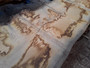 HARDWOOD SAWN AIR DRIED TIMBER WANEY EDGE / LIVE EDGE ENGLISH BURR OAK SLAB / TABLE TOP