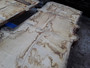 HARDWOOD AIR DRIED WANEY EDGE / LIVE EDGE ENGLISH BURR OAK SLAB / TABLE TOP
