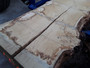 HARDWOOD TIMBER AIR DRIED WANEY EDGE / LIVE EDGE ENGLISH BURR OAK SLAB / TABLE TOP