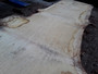 HARDWOOD TIMBER SAWN DRIED WANEY EDGE / LIVE EDGE ENGLISH BURR OAK SLAB / TABLE TOP