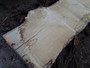 HARDWOOD TIMBER SAWN DRIED WANEY EDGE / LIVE EDGE ENGLISH BURR OAK SLAB / TABLE TOP