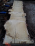 HARDWOOD TIMBER SAWN DRIED WANEY EDGE / LIVE EDGE ENGLISH BURR OAK SLAB / TABLE TOP