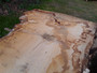 HARDWOOD WANEY EDGE / LIVE EDGE DRIED SAWN TIMBER BURR / PIPPY ENGLISH OAK SLAB / TABLE TOP