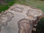 HARDWOOD WANEY EDGE / LIVE EDGE DRIED SAWN TIMBER BURR / PIPPY ENGLISH OAK SLAB / TABLE TOP