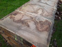 HARDWOOD WANEY EDGE / LIVE EDGE DRIED SAWN AIR DRIED TIMBER BURR / PIPPY ENGLISH OAK SLAB / TABLE TOP