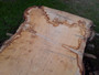 HARDWOOD WANEY EDGE / LIVE EDGE AIR DRIED BURR / PIPPY ENGLISH OAK SLAB / TABLE TOP