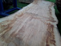 HARDWOOD DRIED WANEY EDGE / LIVE EDGE SAWN ENGLISH PIPPY BROWN OAK SLAB / TABLE TOP