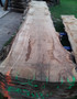 HARDWOOD DRIED WANEY EDGE / LIVE EDGE SAWN ENGLISH PIPPY BROWN OAK SLAB / TABLE TOP