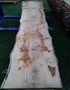 HARDWOOD DRIED WANEY EDGE / LIVE EDGE SAWN ENGLISH PIPPY BROWN OAK SLAB / TABLE TOP