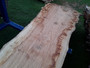 HARDWOOD DRIED WANEY EDGE / LIVE EDGE ENGLISH PIPPY BROWN OAK SLAB / TABLE TOP