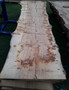 HARDWOOD AIR DRIED WANEY EDGE / LIVE EDGE ENGLISH PIPPY BROWN OAK SLAB / TABLE TOP