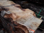 HARDWOOD AIR DRIED SAWN PIPPY / BURR WANEY EDGE / LIVE EDGE ENGLISH OAK SLAB / TABLE TOP