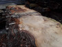 HARDWOOD AIR DRIED SAWN PIPPY / BURR WANEY EDGE / LIVE EDGE ENGLISH OAK SLAB / TABLE TOP