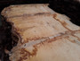 HARDWOOD TIMBER AIR DRIED PIPPY / BURR WANEY EDGE / LIVE EDGE ENGLISH OAK SLAB / TABLE TOP