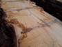 HARDWOOD TIMBER AIR DRIED PIPPY / BURR WANEY EDGE / LIVE EDGE ENGLISH OAK SLAB / TABLE TOP