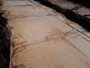HARDWOOD TIMBER SAWN AIR DRIED PIPPY / BURR WANEY EDGE / LIVE EDGE ENGLISH OAK SLAB / TABLE TOP