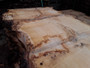 HARDWOOD TIMBER SAWN DRIED PIPPY / BURR WANEY EDGE / LIVE EDGE ENGLISH OAK SLAB / TABLE TOP