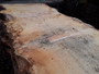 HARDWOOD SAWN AIR DRIED TIMBER PIPPY / BURR WANEY EDGE / LIVE EDGE ENGLISH OAK SLAB / TABLE TOP