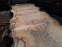 HARDWOOD SAWN AIR DRIED PIPPY / BURR WANEY EDGE / LIVE EDGE ENGLISH OAK SLAB / TABLE TOP