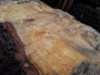 HARDWOOD SAWN TIMBER  DRIED PIPPY / BURR WANEY EDGE / LIVE EDGE ENGLISH OAK SLAB / TABLE TOP