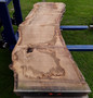 HARDWOOD DRIED SAWN WANEY EDGE / LIVE EDGE ENGLISH OAK SLAB / TABLE TOP