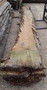 HARDWOOD SAWN WANEY EDGE / LIVE EDGE ENGLISH CHESTNUT SLAB / BOARD / TABLE
