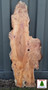 AIR DRIED SAWN CHARACTER WANEY EDGE / LIVE EDGE PIPPY YEW BOARD / PLANK OFFCUT