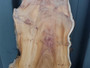 AIR DRIED SAWN CHARACTER WANEY EDGE / LIVE EDGE PIPPY YEW BOARD / PLANK OFFCUT