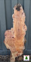 AIR DRIED SAWN CHARACTER WANEY EDGE / LIVE EDGE PIPPY YEW BOARD / PLANK OFFCUT