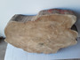 HARDWOOD KILN DRIED WANEY EDGE / LIVE EDGE BURMESE TEAK LOG SLICE / COOKIE